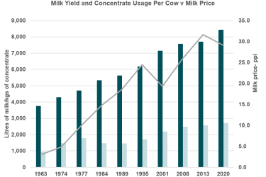 Milk yield and concentrate usage