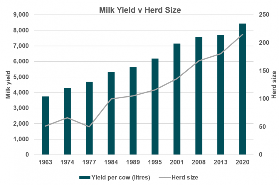 Milk Yield and herd size