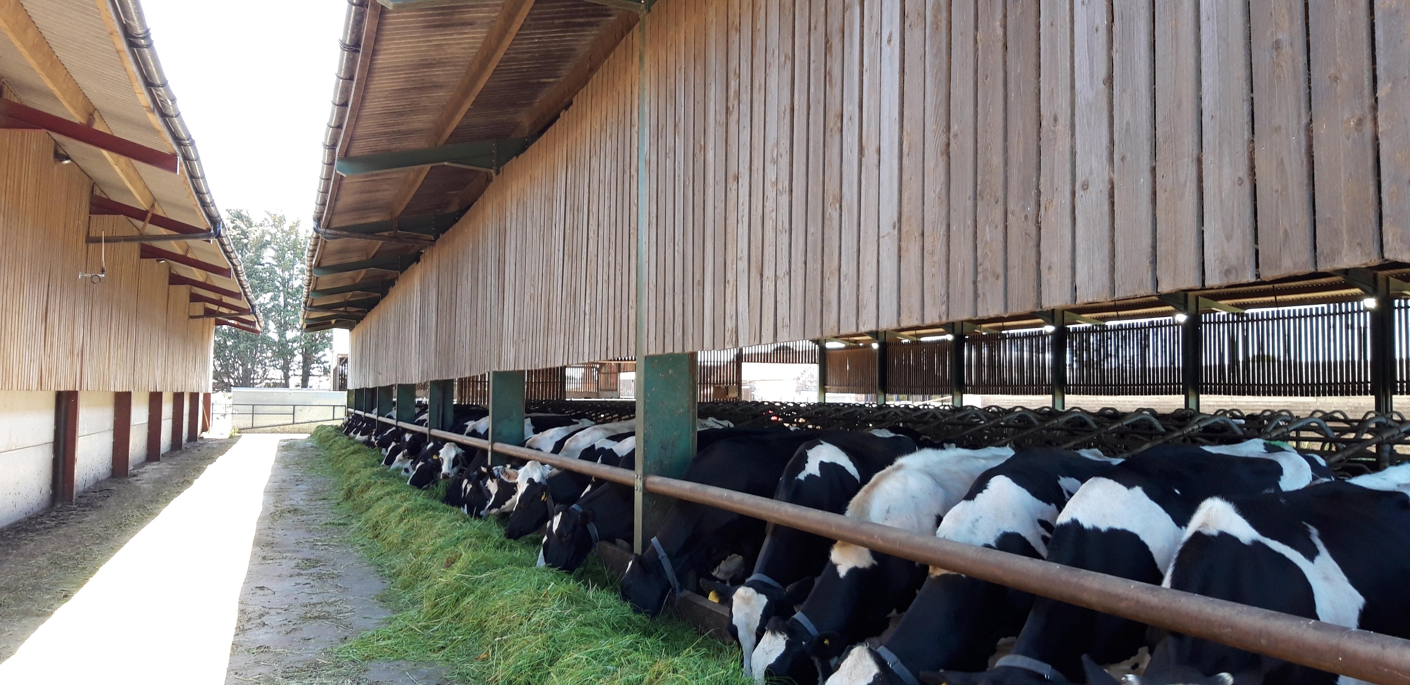 how one Shropshire farmer was able to successfully progress his farm business