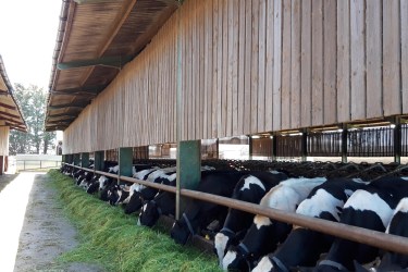 how one Shropshire farmer was able to successfully progress his farm business