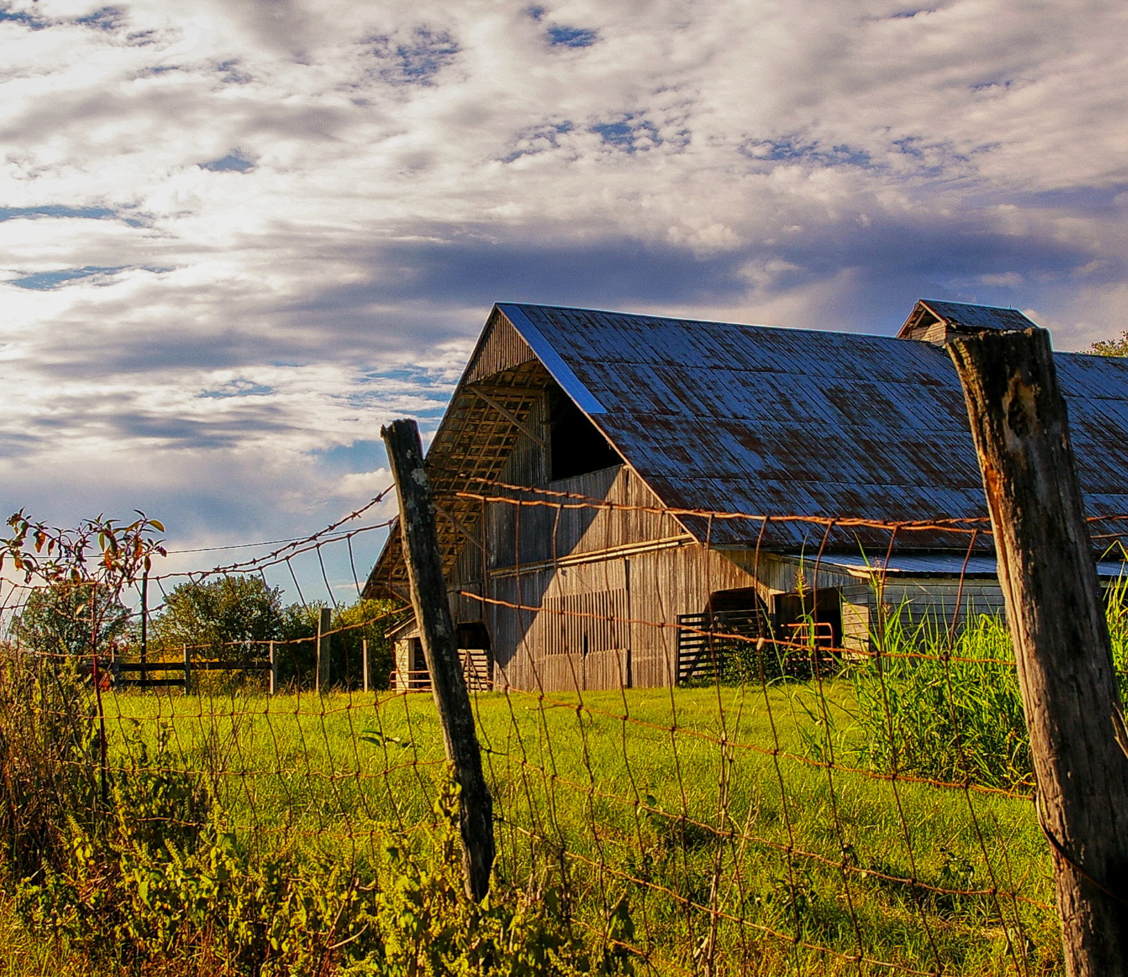 The benefits of housing cattle