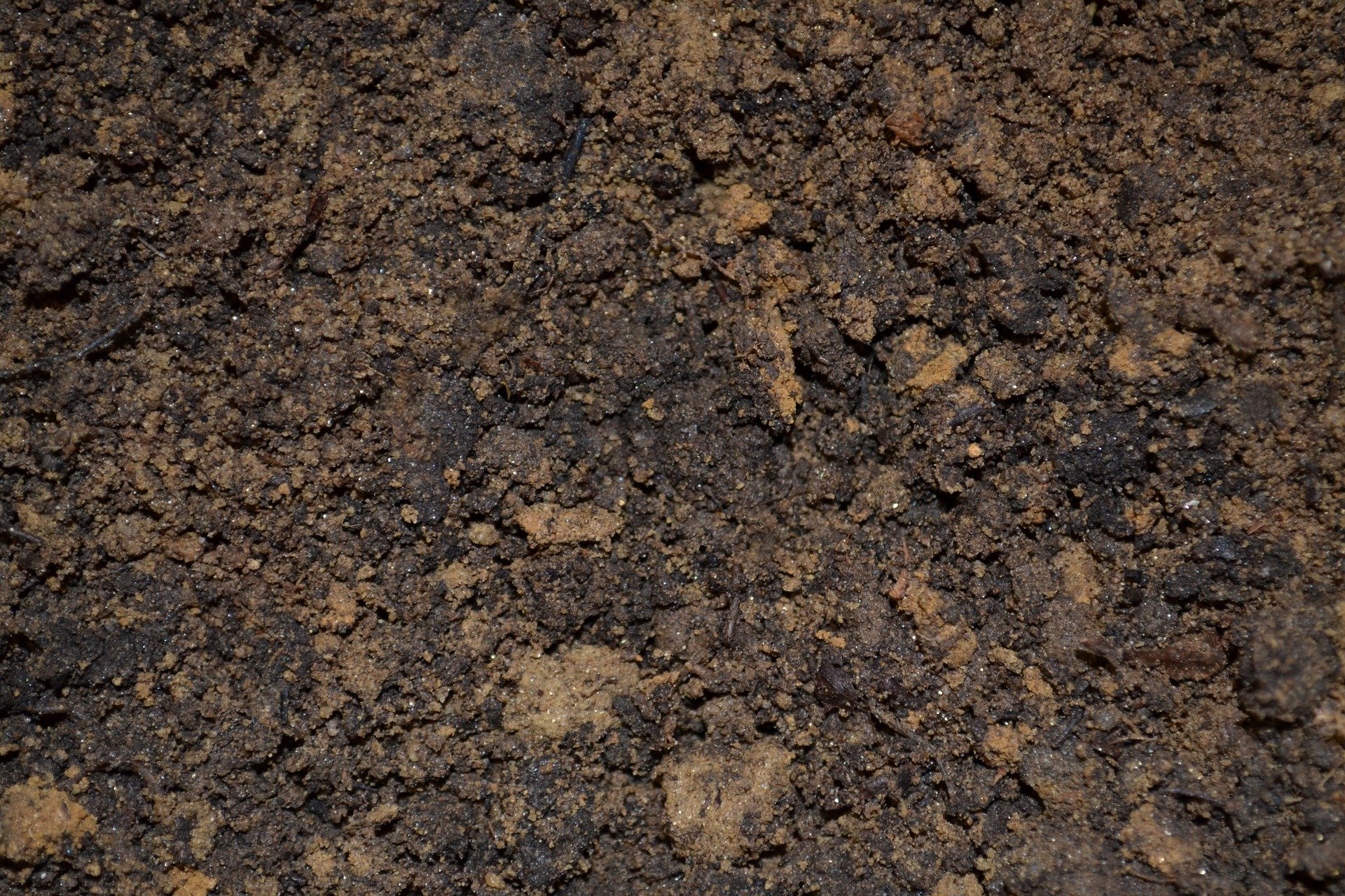 Soil Organic Matter