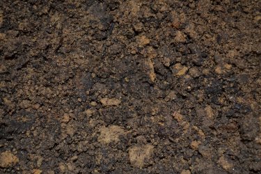 Soil Organic Matter