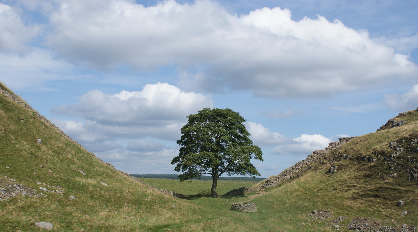 Think about your farm finances