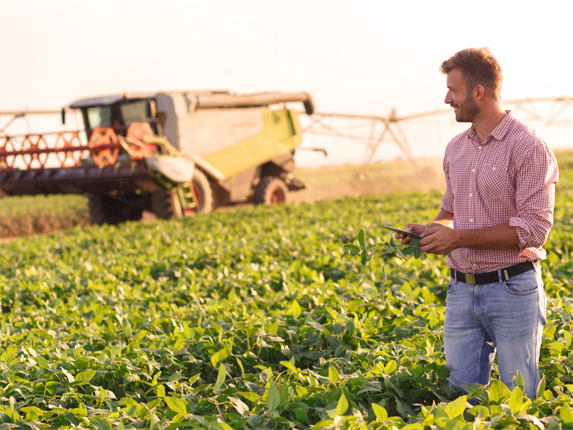 Young man, sunny day, in a field on a tablet with combiner