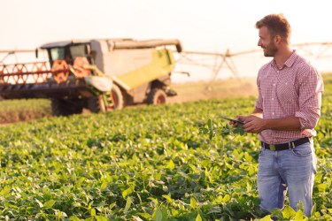 Young man, sunny day, in a field on a tablet with combiner