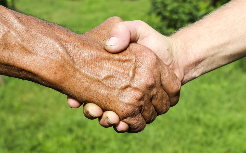 Close-up photo of shaking hands in a field of grass