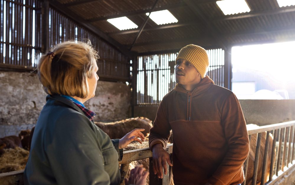 Farmer and young farmer having a discussion in a cattle pen, Northumberland.