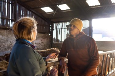 Farmer and young farmer having a discussion in a cattle pen, Northumberland.