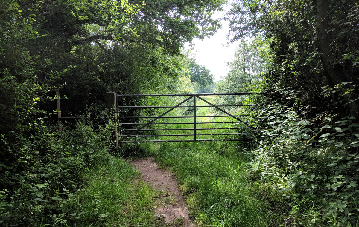 Photo of farmland that makes use of sfi and cs funding