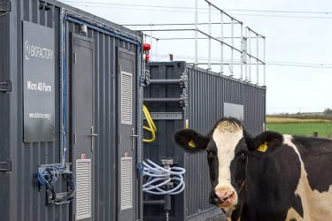 A small farm AD installation, with cow